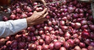 Cabinet Secretary reviews the issue of Onion Prices in the Country