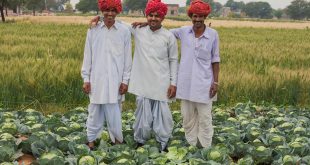 ‘100 Farmers. 100 Stories’ Photo & Video Story Contest launched by TAFE - Be a #FarmDost