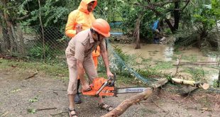 Centre reviews progress of relief and restoration work in West Bengal