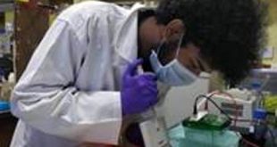 New low-cost novel coronavirus test developed