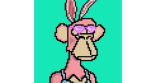 Sibel On Her Passion For Supporting Turkey Based NFT Projects