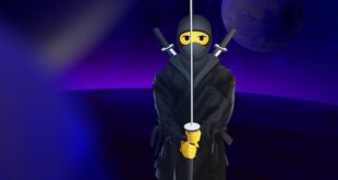 Discover why the Global Crypto Community will have high expectations from NinjaPad