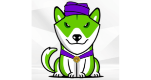 Piccolo Inu Breaks Down the Enigmas Surrounding Cryptocurrency