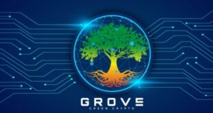 Grove Token On Why Twitter CEO Jack Dorsey Auctioned Off NFTs
